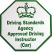 Approved Driving Instructor (car) Logo