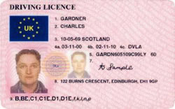 Sample Photocard Driving Licence